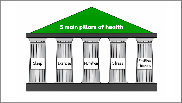 The 5 pillars of health
